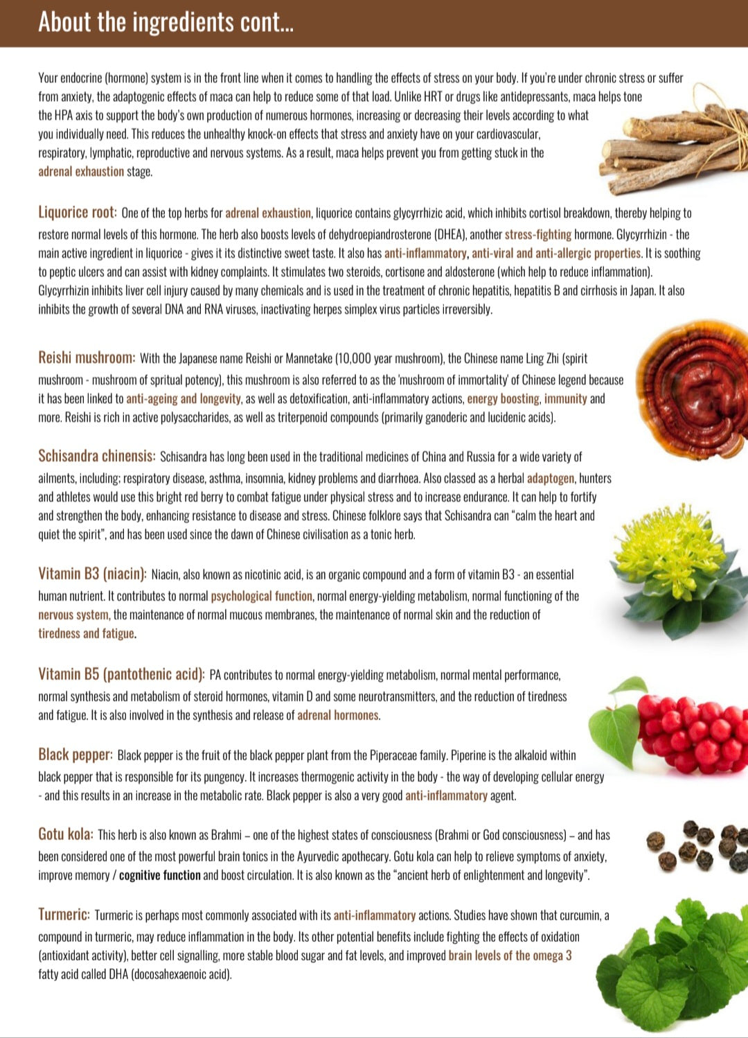 Ashwagandha Botanical for stress, adrenal fatigue and immune system - 90 capsules
